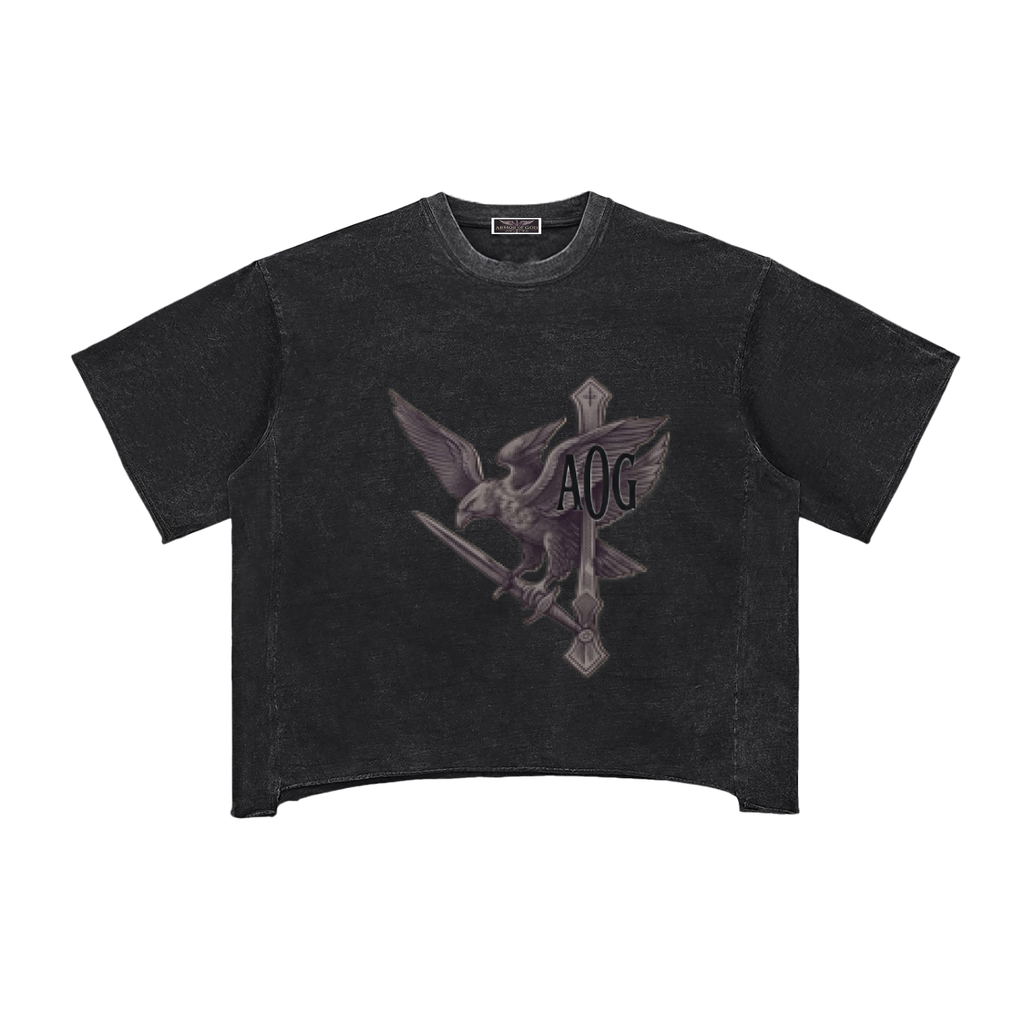 Raw Edge Snow Washed Boxy T-Shirt